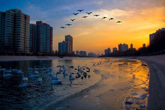 丝绸之路 | 库尔勒:500公里无人沙漠公路,你需要吃口香梨压压惊