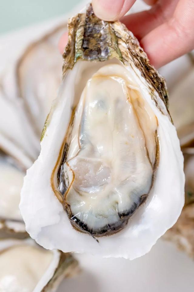 语文书都不放过!我的叔叔于勒那么悲伤一故事,你们却只记住牡蛎多好吃