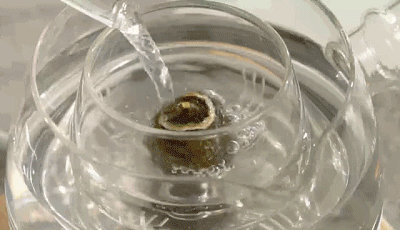 用它爱上喝水，每天八杯都不够