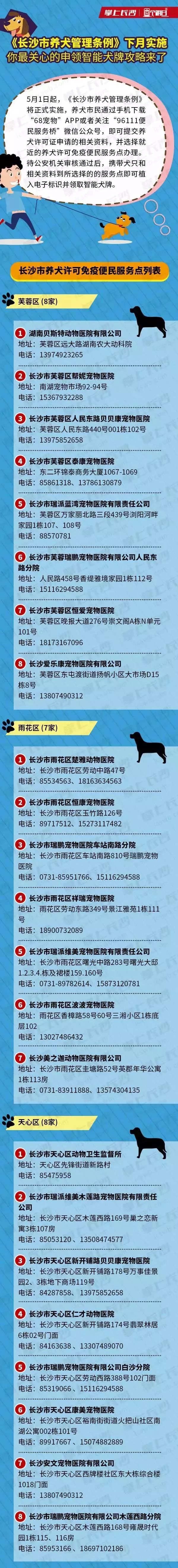 长沙狗主人注意了最严养犬条例5月1日起实施你的爱犬要办身份证啦