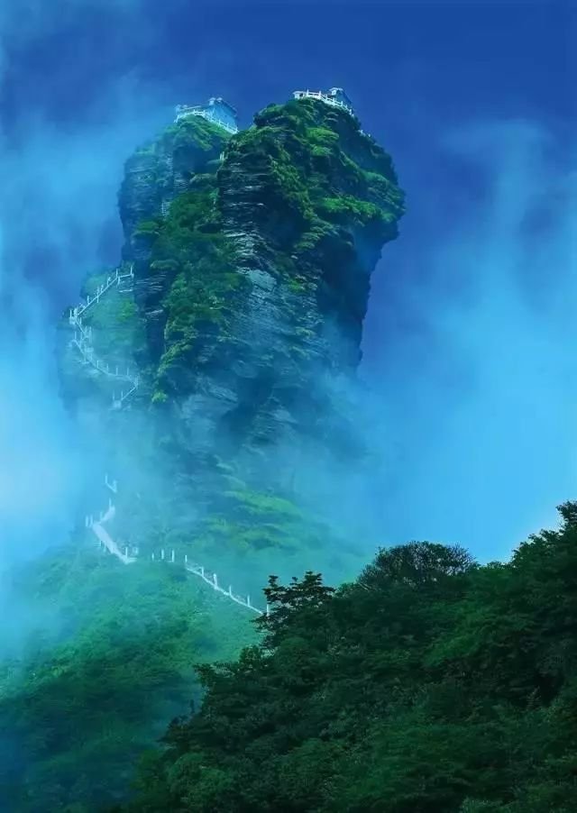 6BC91AD71A68380EDA4FC843D452CC955B682B6C_size63_w640_h902.jpeg