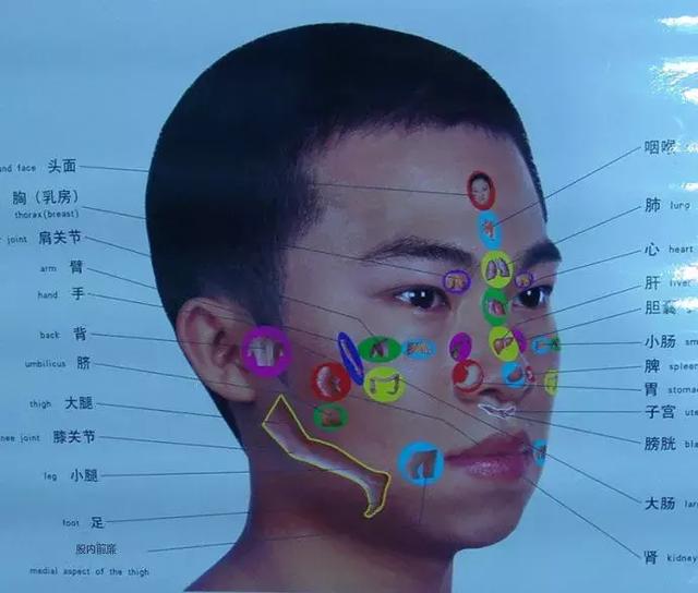 看懂这张图,穴位不用找(人体全息图)