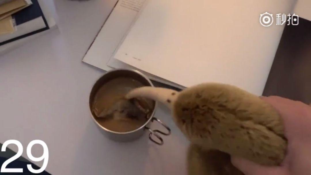 抖音、b站等巨头纷纷入局，VLOG如何在直播与短视频的缝隙中找寻增量？