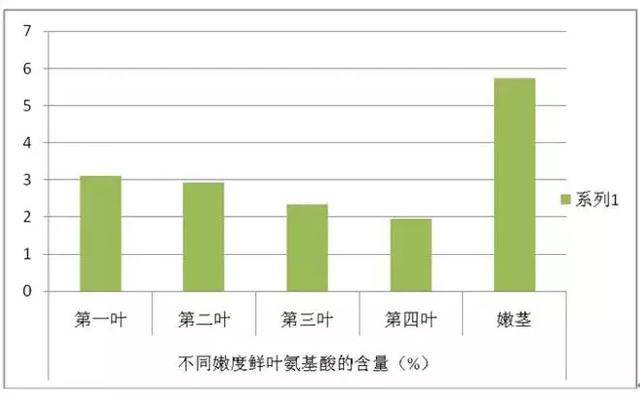 茶与健康 | 茶的鲜味从何而来？