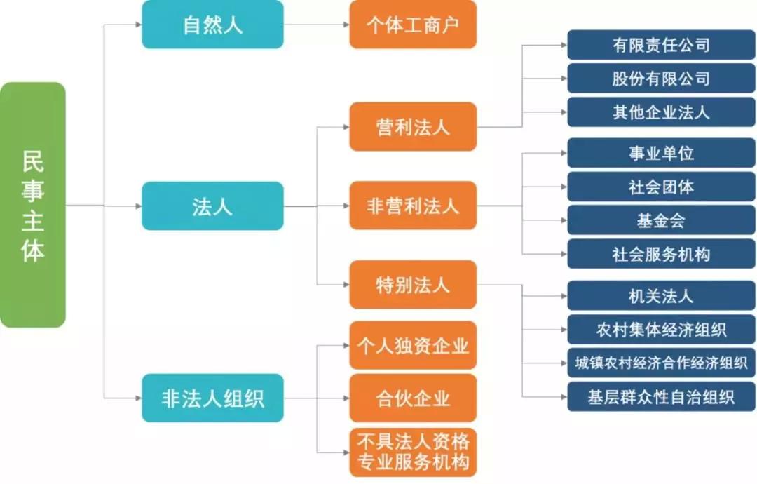 其中个体工商户,个人独资企业,和公司有着不同的组织形态,如下图所示