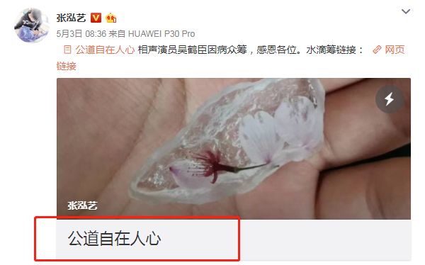 在网上骗捐的人，你们正在杀死善良