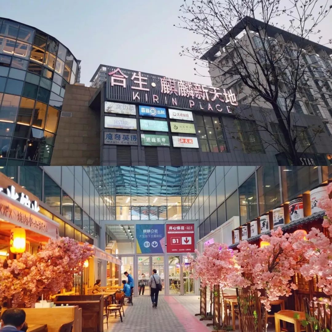 北京互联网人觅食图鉴