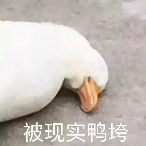 表情包丨被现实鸭垮的你是什么样子