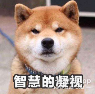 何洁的修图师可真敢P呀…