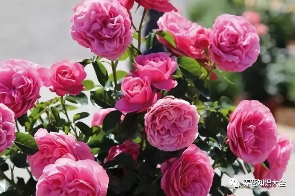 点击查看源网页