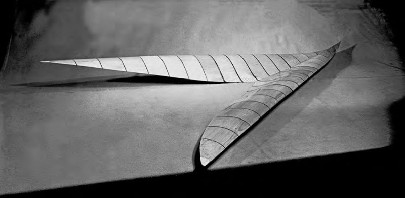 那只翅膀是标记上的红色“勾”