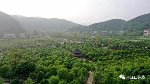 厉害了,丹江口国家森林公园总体规划获批!