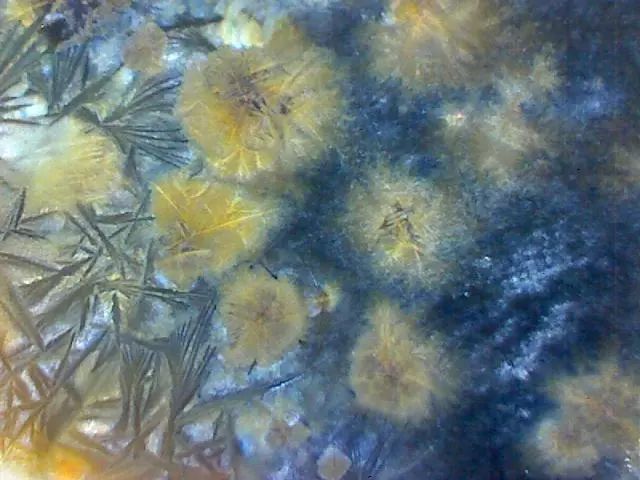 156、瓷器微观典型特征