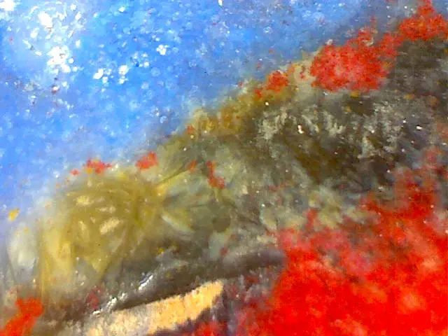 156、瓷器微观典型特征