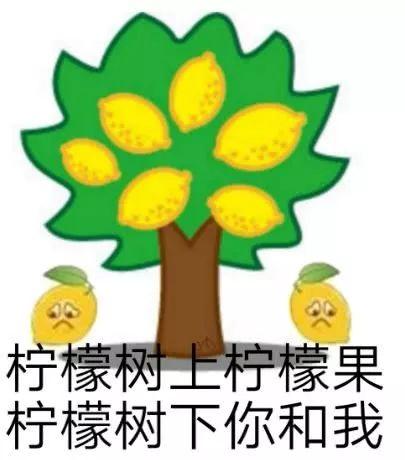 多多新发色上热搜，黄磊孙莉教育孩子合格吗？