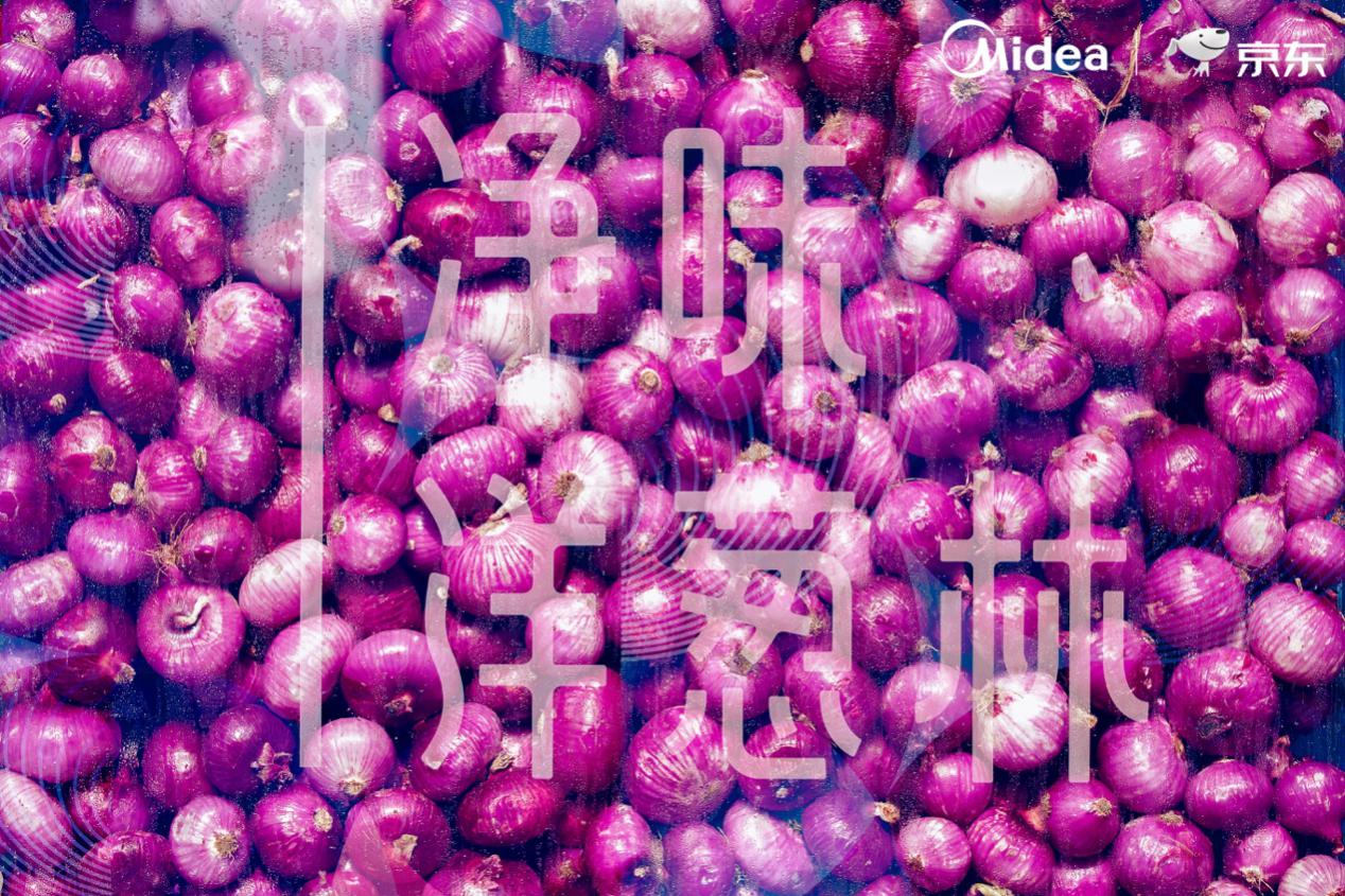 1559189310363530.jpg 图片5.jpg