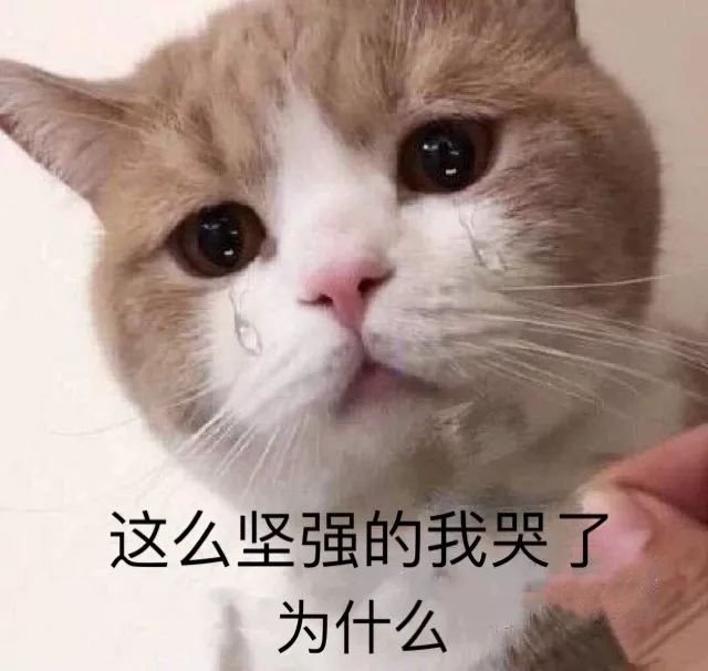 国货UR是开挂了吗？不仅款式吊打ZARA，均价也只要100块