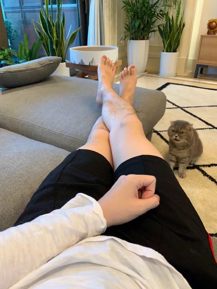 不养猫，你都不知道自己有多卑微 !