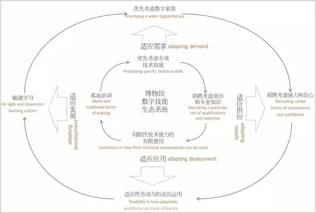 将博物馆数字技能概念化为"生态系统"