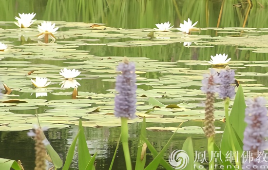 �ճ������О���̎�� ӛס�@�ľ�Ԓ