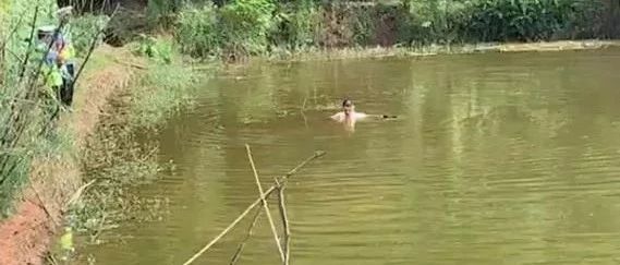 男子酒驾遇检查突然弃车跳水塘，企图用水稀释酒精……