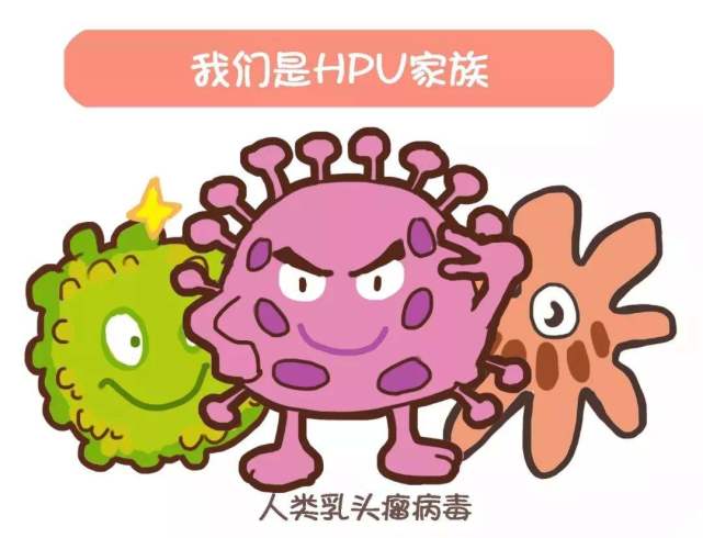 hpv转阴不用药,别再浪费钱了,妇科专家教你"吃"好它__凤凰网