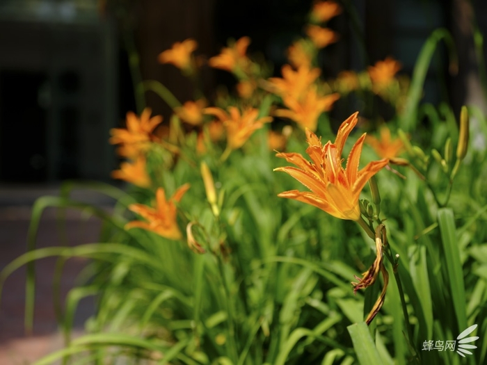 色彩艺术下的高级质感 富士胶片模拟功能试拍 色彩艺术下的高级质感 富士胶片模拟功能试拍