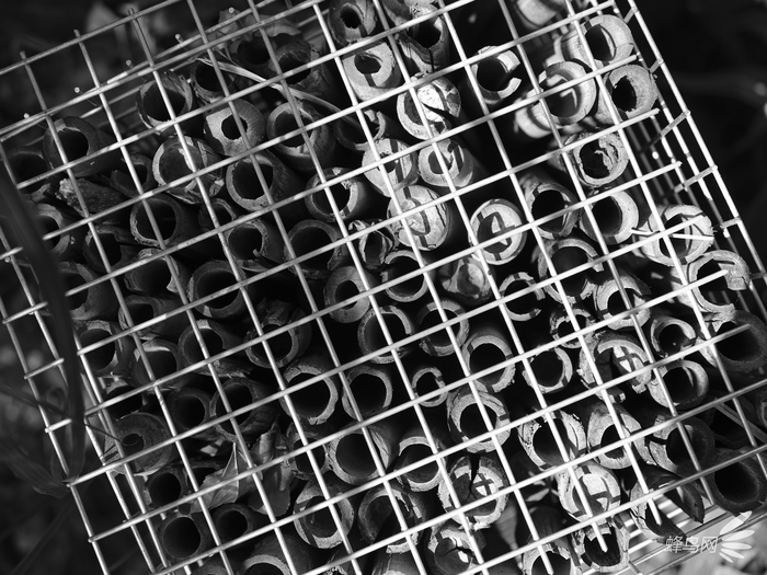 色彩艺术下的高级质感 富士胶片模拟功能试拍 色彩艺术下的高级质感 富士胶片模拟功能试拍