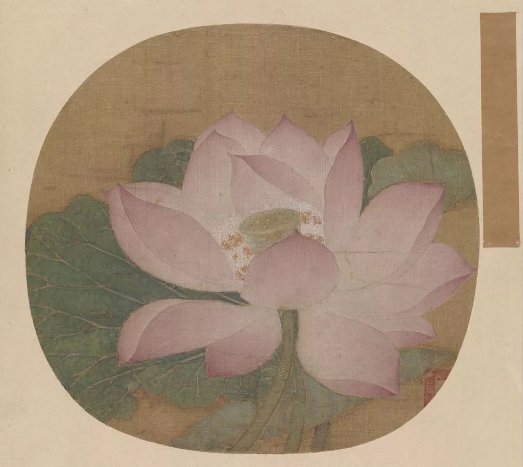 吴炳《出水芙蓉图》