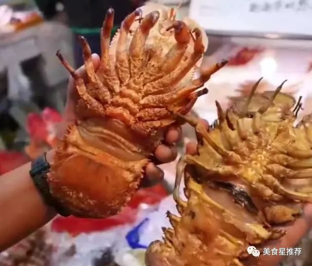 看看深海"巨型琵琶虾,日本人将它切开生吃,就问你羡不羡慕