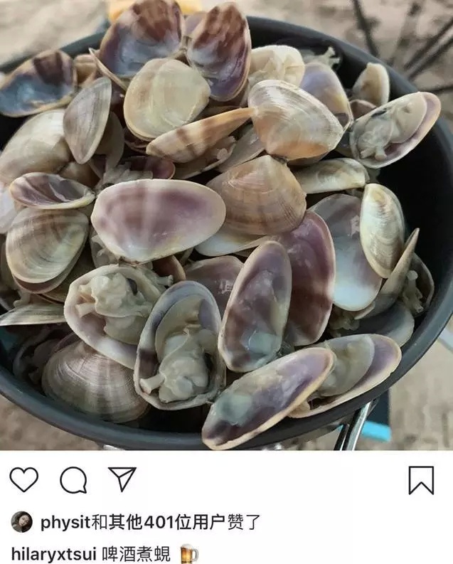 徐濠萦穿泳衣海边露营，胆子超大醒来就挖蚬吃