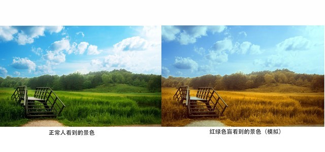 色盲能当摄影师吗那盲人呢