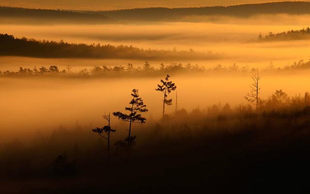 飞翔的梦境，探索总是梦见自己会飞的深层心理意义