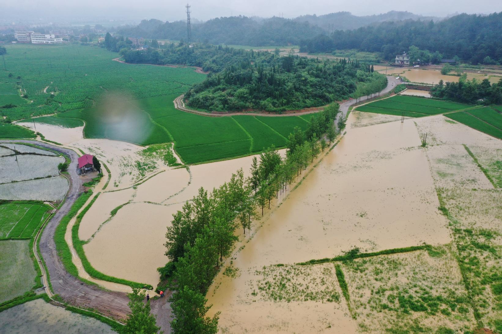暴雨洪涝致江西九江30.8万人受灾|九江市|江西|九江_新浪科技_新浪网