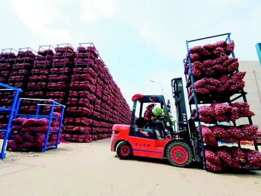 □通讯员 李勇 记者 王浩奇 报道 5月24日，济宁市食品工业经济技术开发区内，工人将晾晒好的大蒜入库。