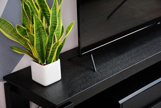 客厅C位的高性价比神器:乐融Letv Y65电视评测