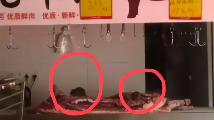 猪肉上爬着活老鼠！小区附近超市被曝出恶心一幕