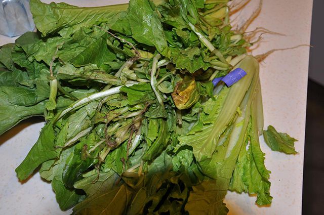 占全年蔬菜量5成的烂菜叶可以这样做变废为宝还能挣钱