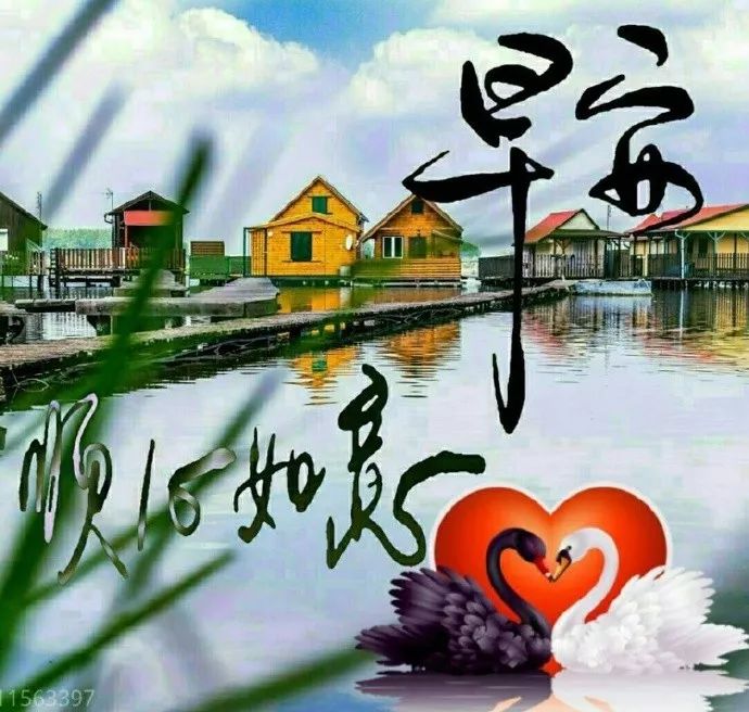 6,早安,朋友们:美好的一天开始,希望你的心情,如风景一样美丽,努力做