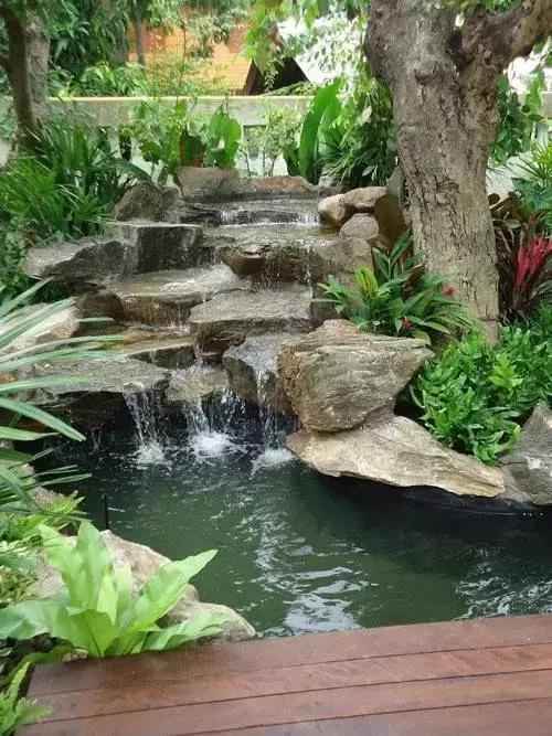 老外后院的池塘水景