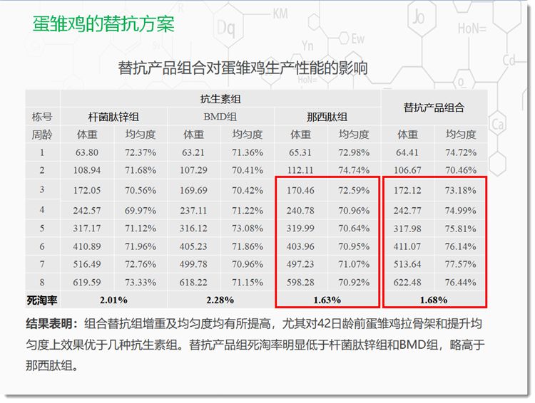 禽替抗产品组合方案 蛋雏鸡应用效果对比