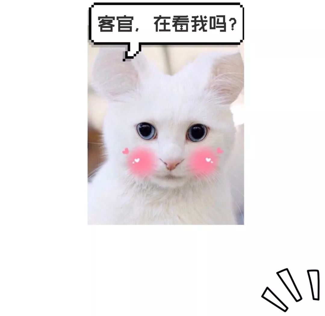 在家自制冰棍全攻略！水果棒冰、酸奶棒冰、自制梦龙