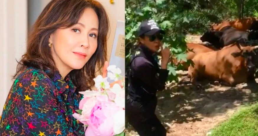 屏幕快照 2019-07-27 下午13.21.14.png