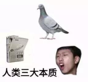 破产倒闭的公司背后，怎么就成了羊毛党的真香狂欢？