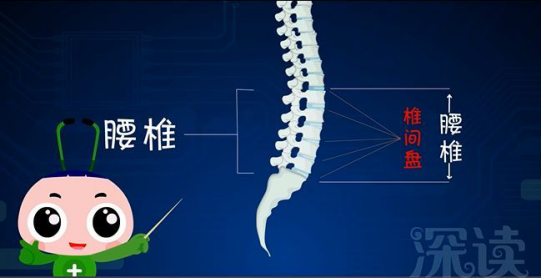 20多岁得了“不治之症”腰椎间盘突出怎么办? 12bet真人娱乐
