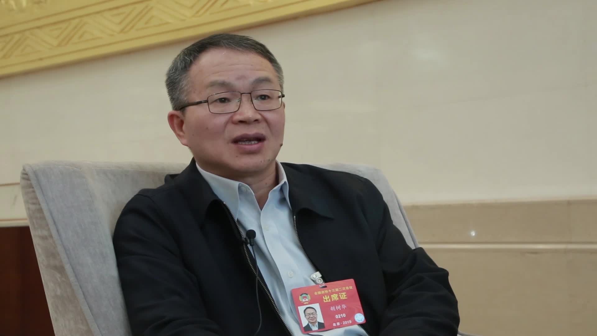 胡树华：在房地产等冲击下 制造业受影响 出现主业虚化