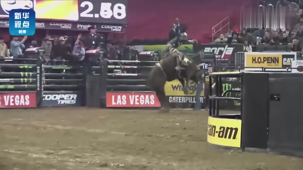 感受美国职业骑牛大赛“瞬间运动”的激情