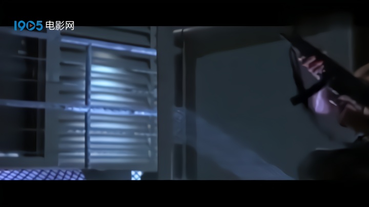 《虎胆龙威》枪战片段