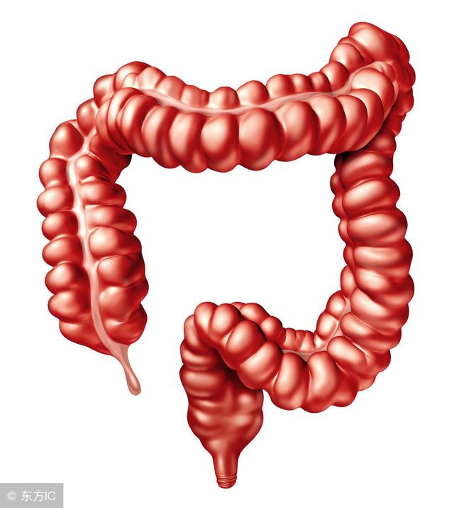 要知道人的大肠拉直了有7米