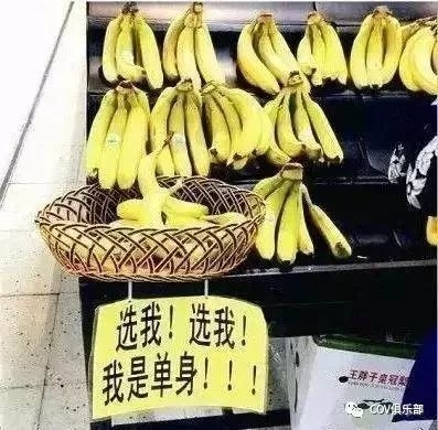 骚不过的民间土味小广告,是在下输了!